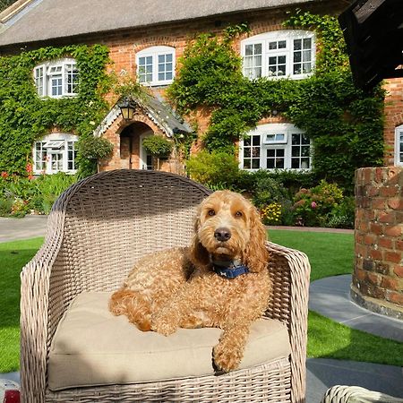 Little Woodside A Beautiful New Forest Self Contained Private Luxury Annexe Нью-Мілтон Екстер'єр фото