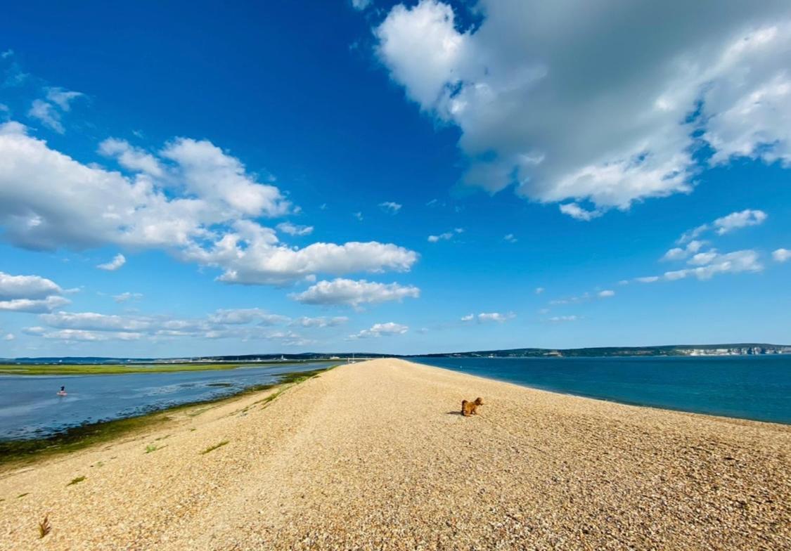 Little Woodside A Beautiful New Forest Self Contained Private Luxury Annexe Нью-Мілтон Екстер'єр фото