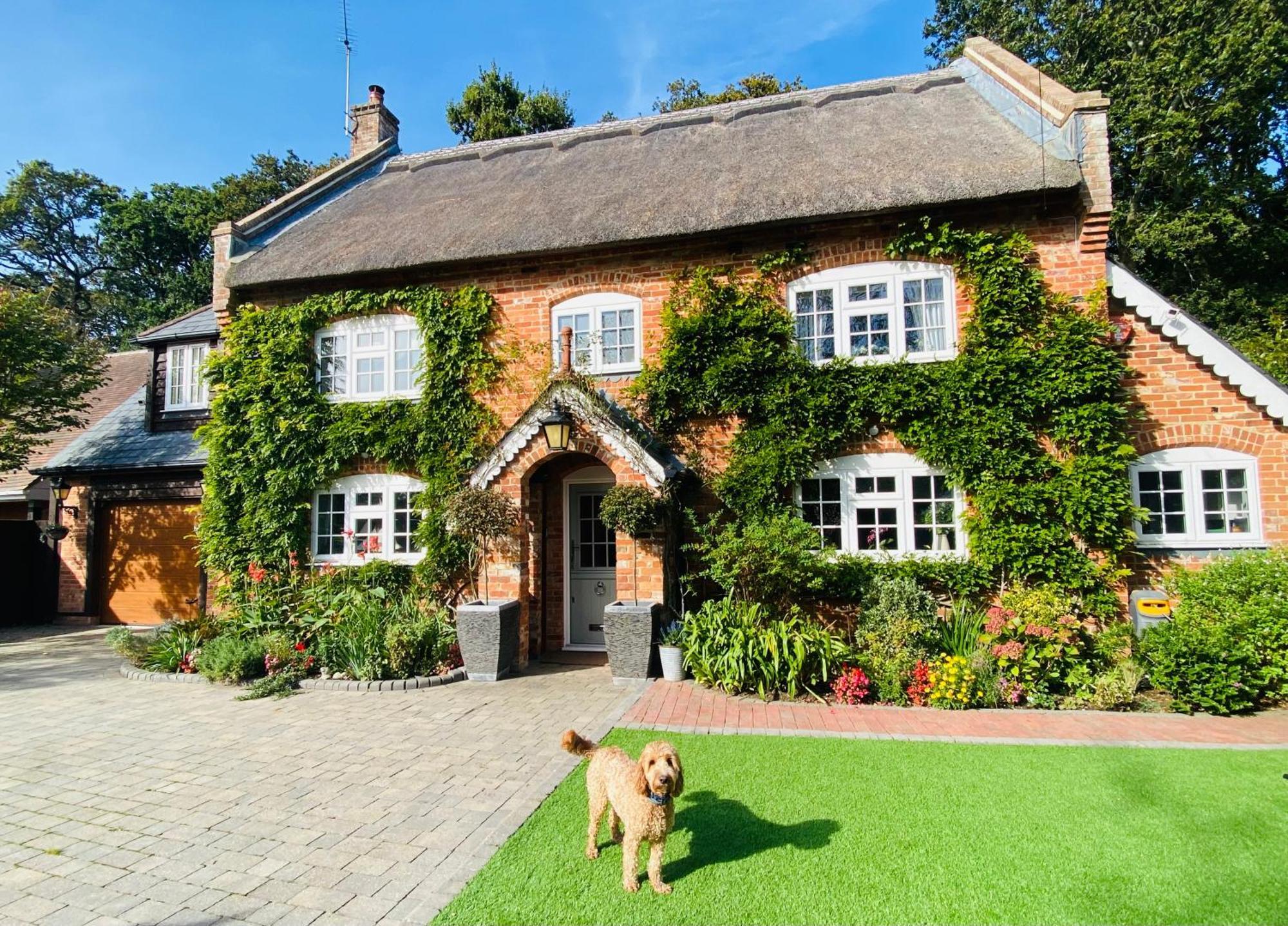 Little Woodside A Beautiful New Forest Self Contained Private Luxury Annexe Нью-Мілтон Екстер'єр фото