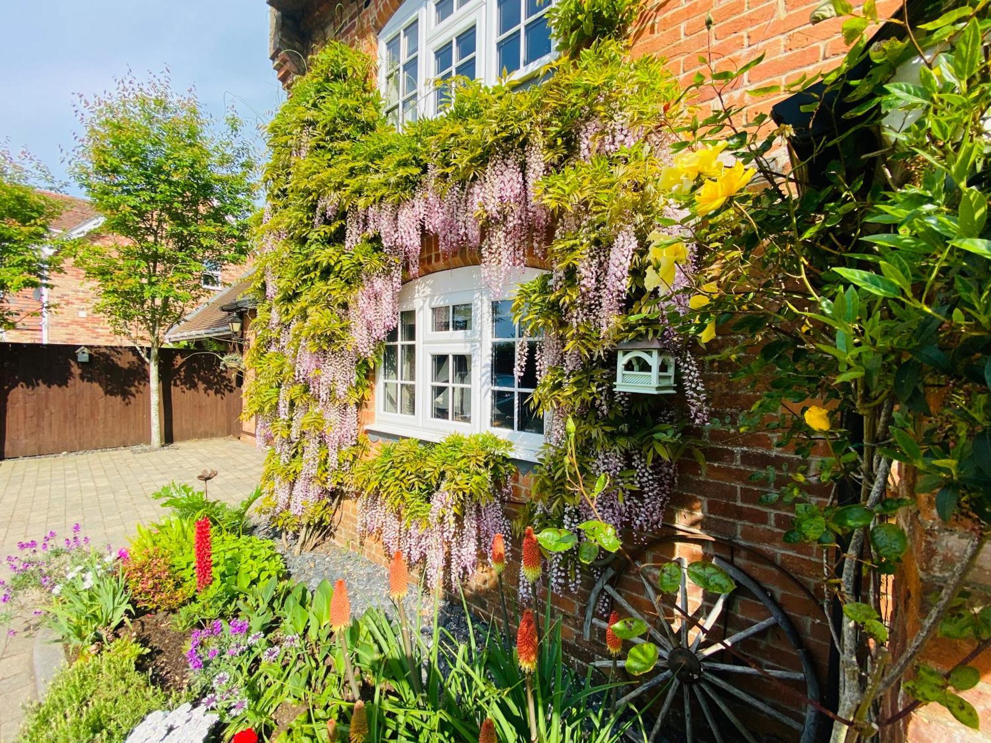 Little Woodside A Beautiful New Forest Self Contained Private Luxury Annexe Нью-Мілтон Екстер'єр фото