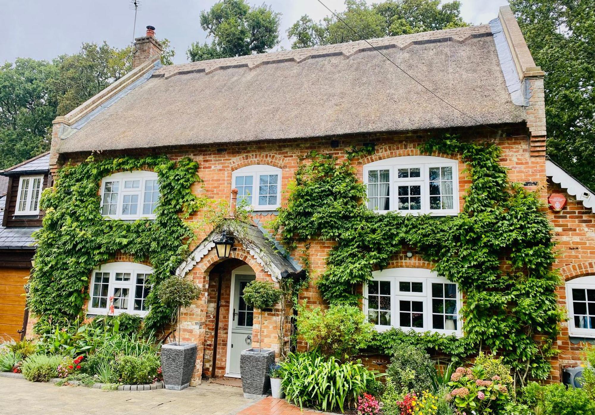 Little Woodside A Beautiful New Forest Self Contained Private Luxury Annexe Нью-Мілтон Екстер'єр фото