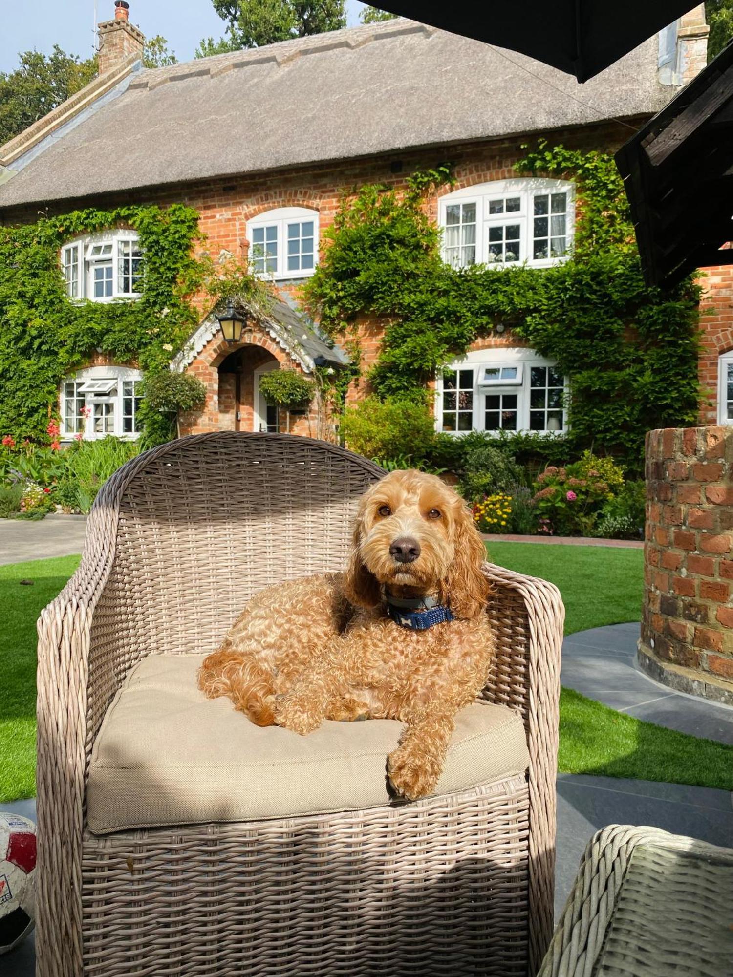 Little Woodside A Beautiful New Forest Self Contained Private Luxury Annexe Нью-Мілтон Екстер'єр фото