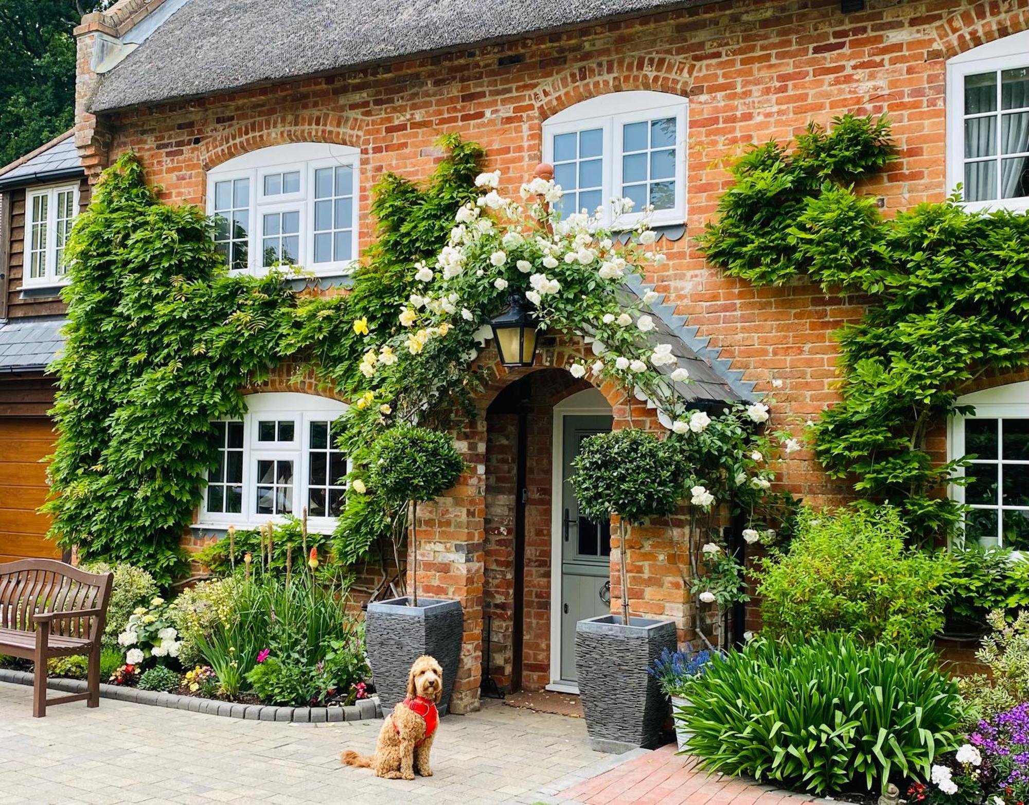 Little Woodside A Beautiful New Forest Self Contained Private Luxury Annexe Нью-Мілтон Екстер'єр фото