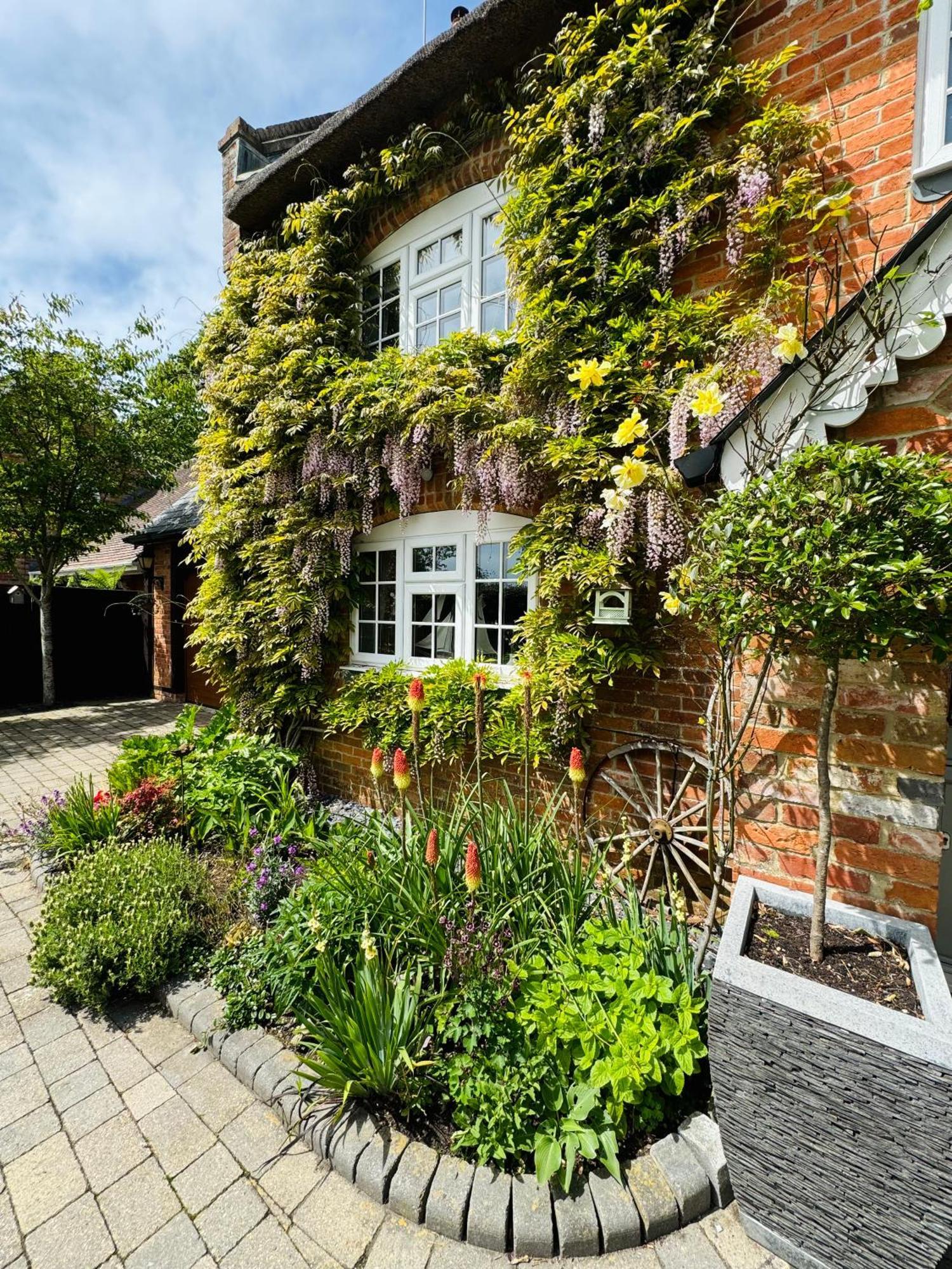 Little Woodside A Beautiful New Forest Self Contained Private Luxury Annexe Нью-Мілтон Екстер'єр фото
